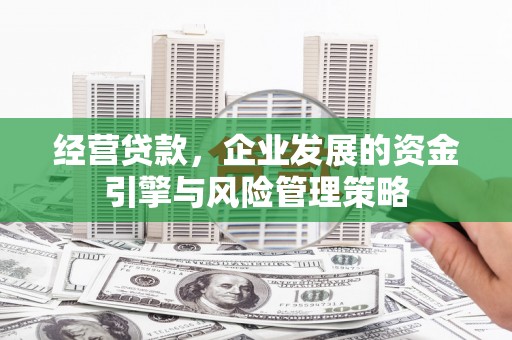 萍乡经营贷款，企业发展的资金引擎与风险管理策略