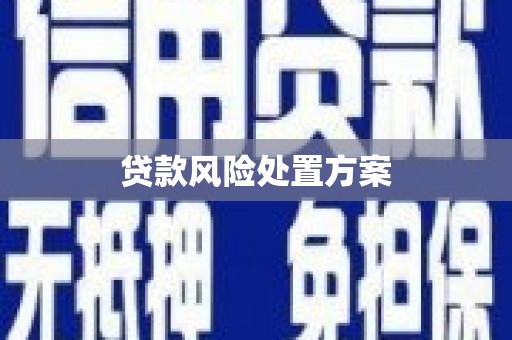 鼓楼贷款风险处置方案