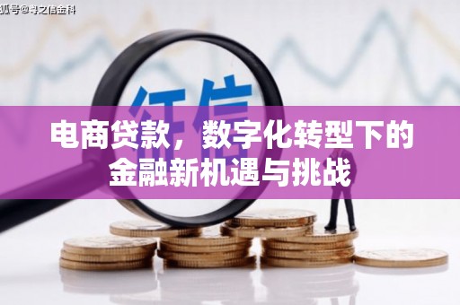 怀化电商贷款，数字化转型下的金融新机遇与挑战