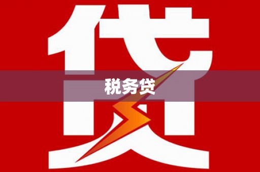 壮围税务贷