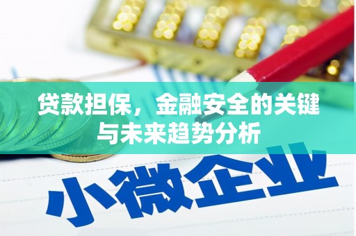 琼结贷款担保，金融安全的关键与未来趋势分析