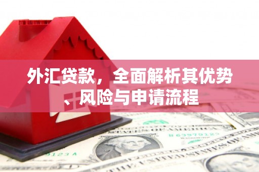 玉树外汇贷款，全面解析其优势、风险与申请流程