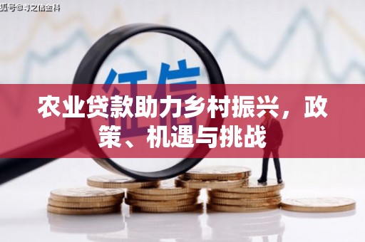 邯郸农业贷款助力乡村振兴，政策、机遇与挑战
