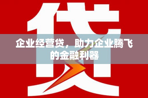 黄平企业经营贷，助力企业腾飞的金融利器