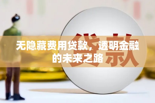 张掖无隐藏费用贷款，透明金融的未来之路