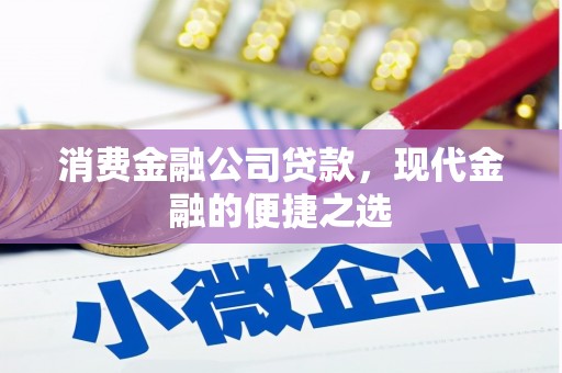 阜阳消费金融公司贷款，现代金融的便捷之选