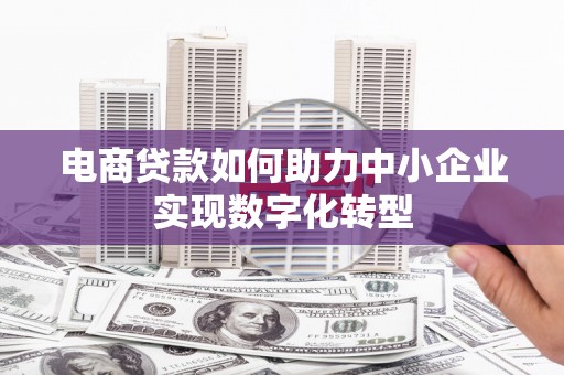 溆浦电商贷款如何助力中小企业实现数字化转型