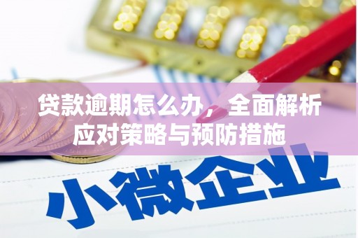 马边贷款逾期怎么办，全面解析应对策略与预防措施