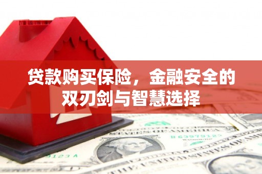 永平贷款购买保险，金融安全的双刃剑与智慧选择