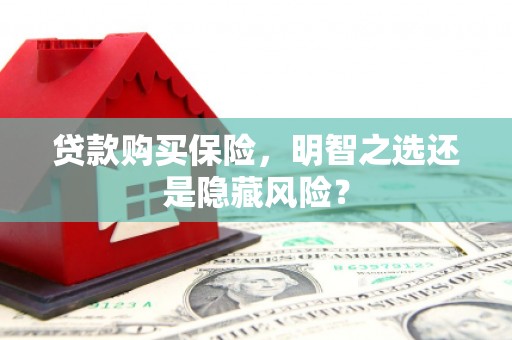 沧县贷款购买保险，明智之选还是隐藏风险？
