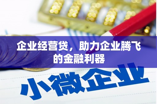 武川企业经营贷，助力企业腾飞的金融利器