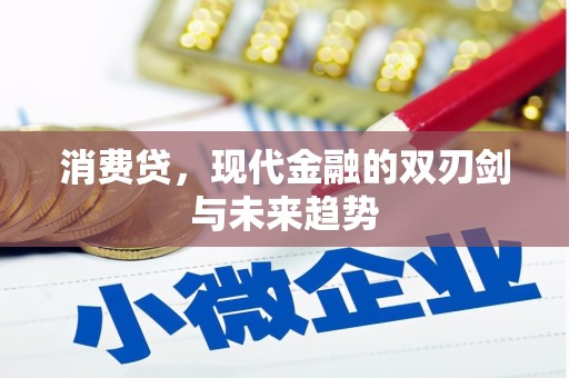 旬阳消费贷，现代金融的双刃剑与未来趋势