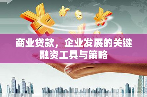 灌阳商业贷款，企业发展的关键融资工具与策略