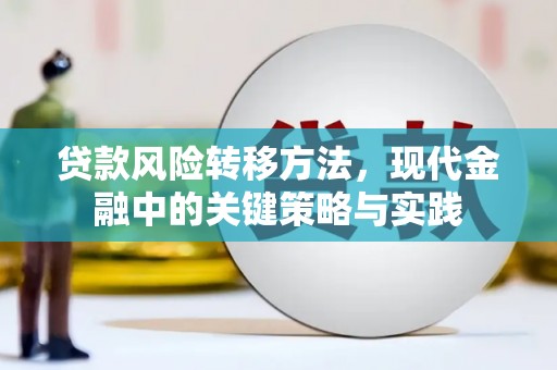弥陀贷款风险转移方法，现代金融中的关键策略与实践