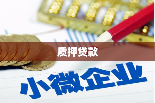 新蔡质押贷款