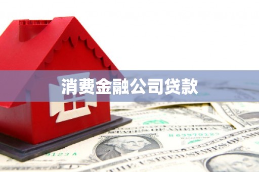友谊消费金融公司贷款