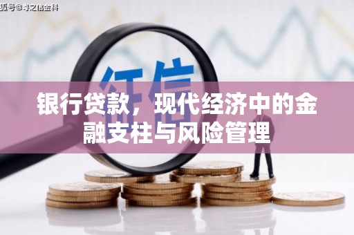 南京银行贷款，现代经济中的金融支柱与风险管理