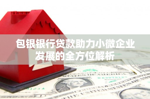 池上包银银行贷款助力小微企业发展的全方位解析 池上包银银行贷款助力小微企业发展的全方位解析