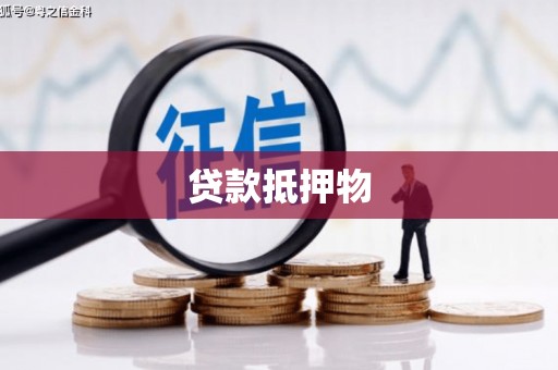 赫山贷款抵押物