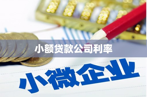 吉木萨尔小额贷款公司利率