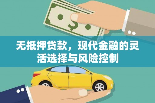 镇赉无抵押贷款，现代金融的灵活选择与风险控制