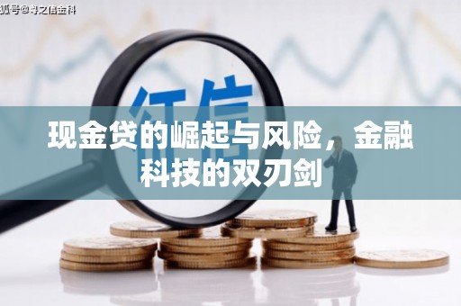 汉川现金贷的崛起与风险，金融科技的双刃剑