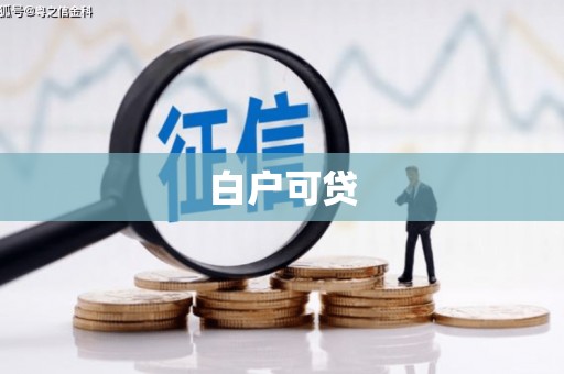 湖北白户可贷