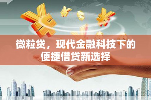庄浪微粒贷，现代金融科技下的便捷借贷新选择