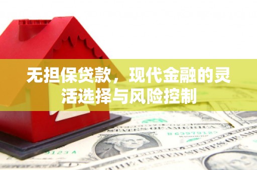 河西无担保贷款，现代金融的灵活选择与风险控制