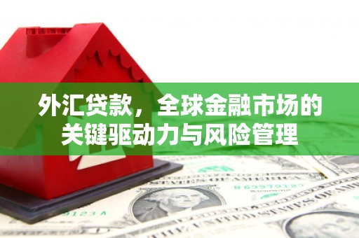 卧龙外汇贷款，全球金融市场的关键驱动力与风险管理
