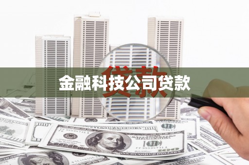 东阿金融科技公司贷款