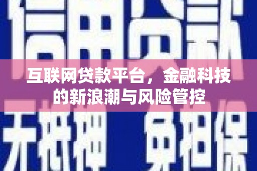 望城互联网贷款平台，金融科技的新浪潮与风险管控