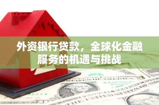 莱城外资银行贷款，全球化金融服务的机遇与挑战