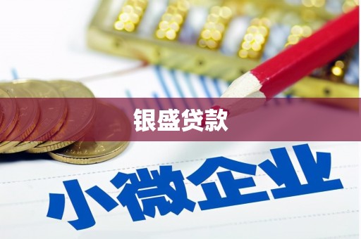 庐江银盛贷款