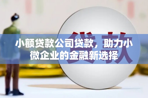 绥芬河小额贷款公司贷款，助力小微企业的金融新选择