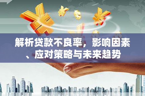 莿桐解析贷款不良率，影响因素、应对策略与未来趋势
