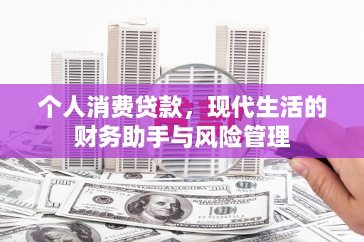 阜城个人消费贷款，现代生活的财务助手与风险管理