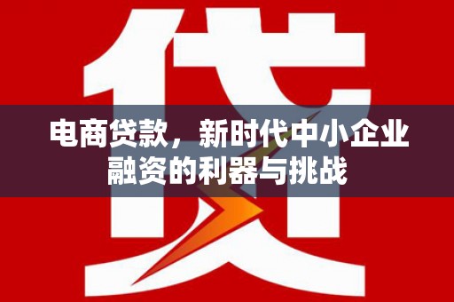 临渭电商贷款，新时代中小企业融资的利器与挑战