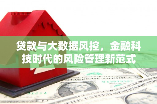 靖宇贷款与大数据风控，金融科技时代的风险管理新范式