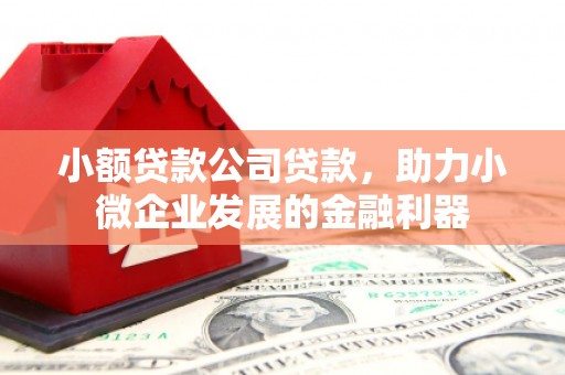 马尔康小额贷款公司贷款，助力小微企业发展的金融利器