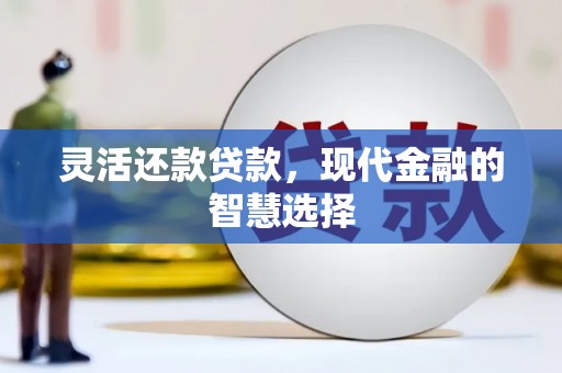 洋县灵活还款贷款，现代金融的智慧选择