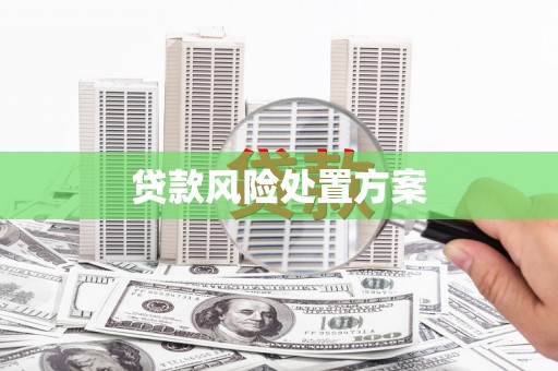 淄川贷款风险处置方案