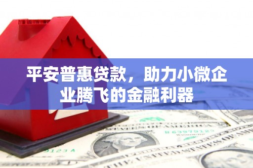 金寨平安普惠贷款，助力小微企业腾飞的金融利器