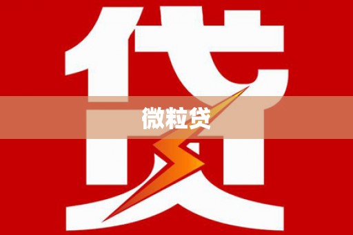 赫山微粒贷