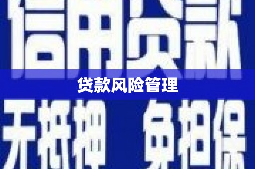 依兰贷款风险管理