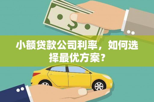 平度小额贷款公司利率，如何选择最优方案？