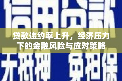 西市贷款违约率上升，经济压力下的金融风险与应对策略