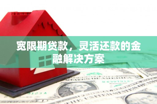 望城宽限期贷款，灵活还款的金融解决方案