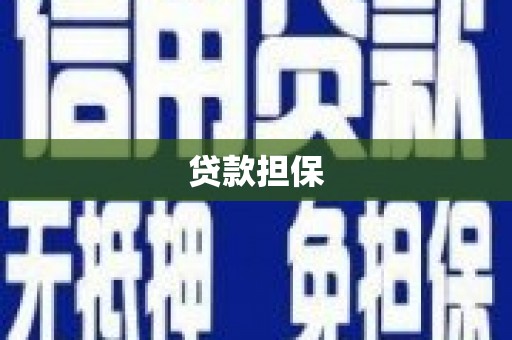 瓯海贷款担保