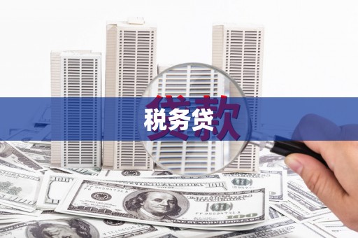 鄯善税务贷